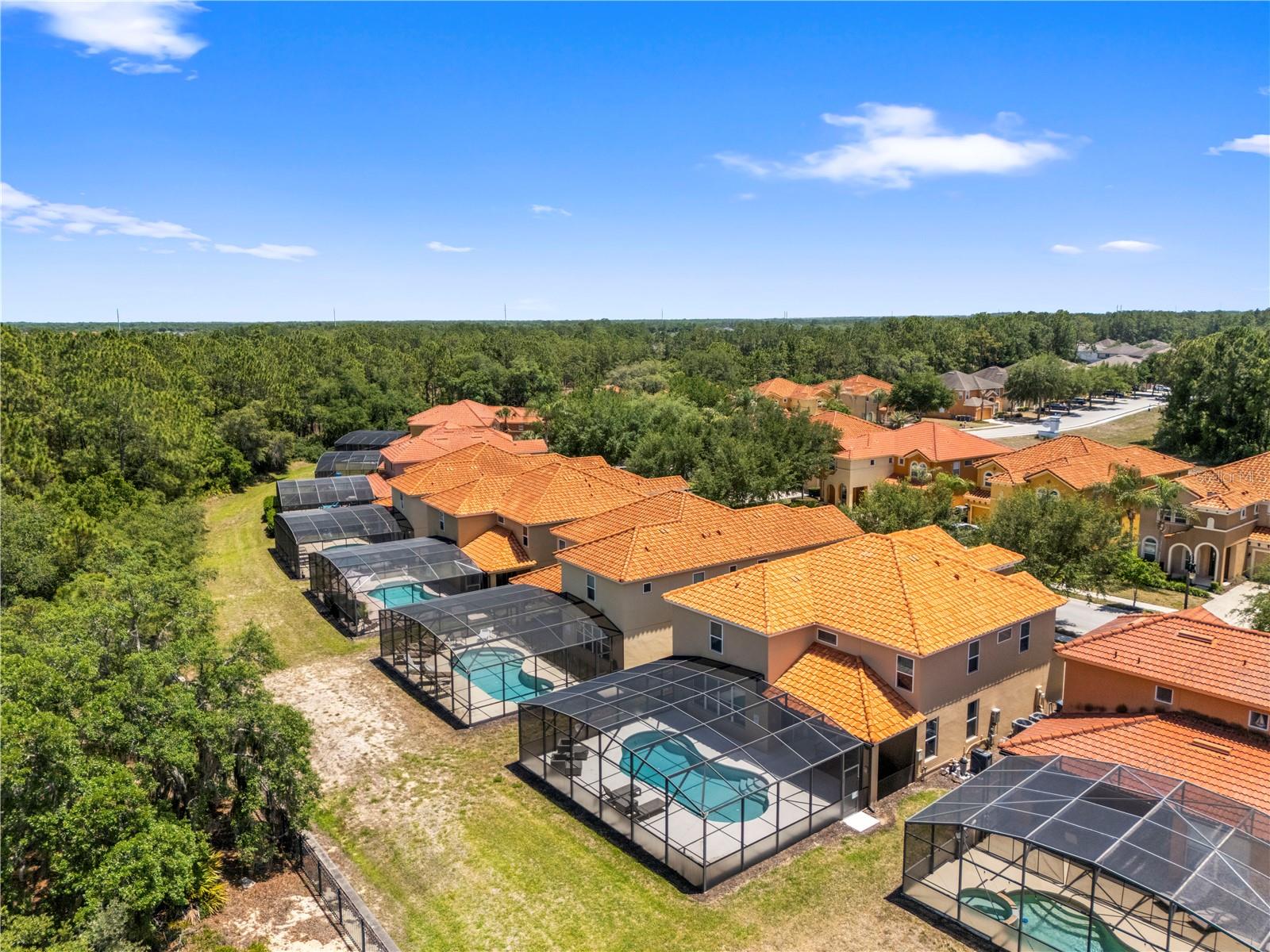 436 ORANGE COSMOS BLVD, DAVENPORT, FL, 33837