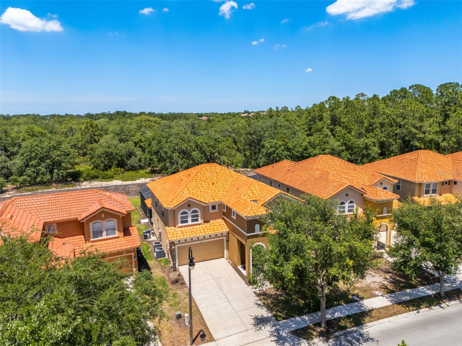 436 ORANGE COSMOS BLVD, DAVENPORT, FL, 33837