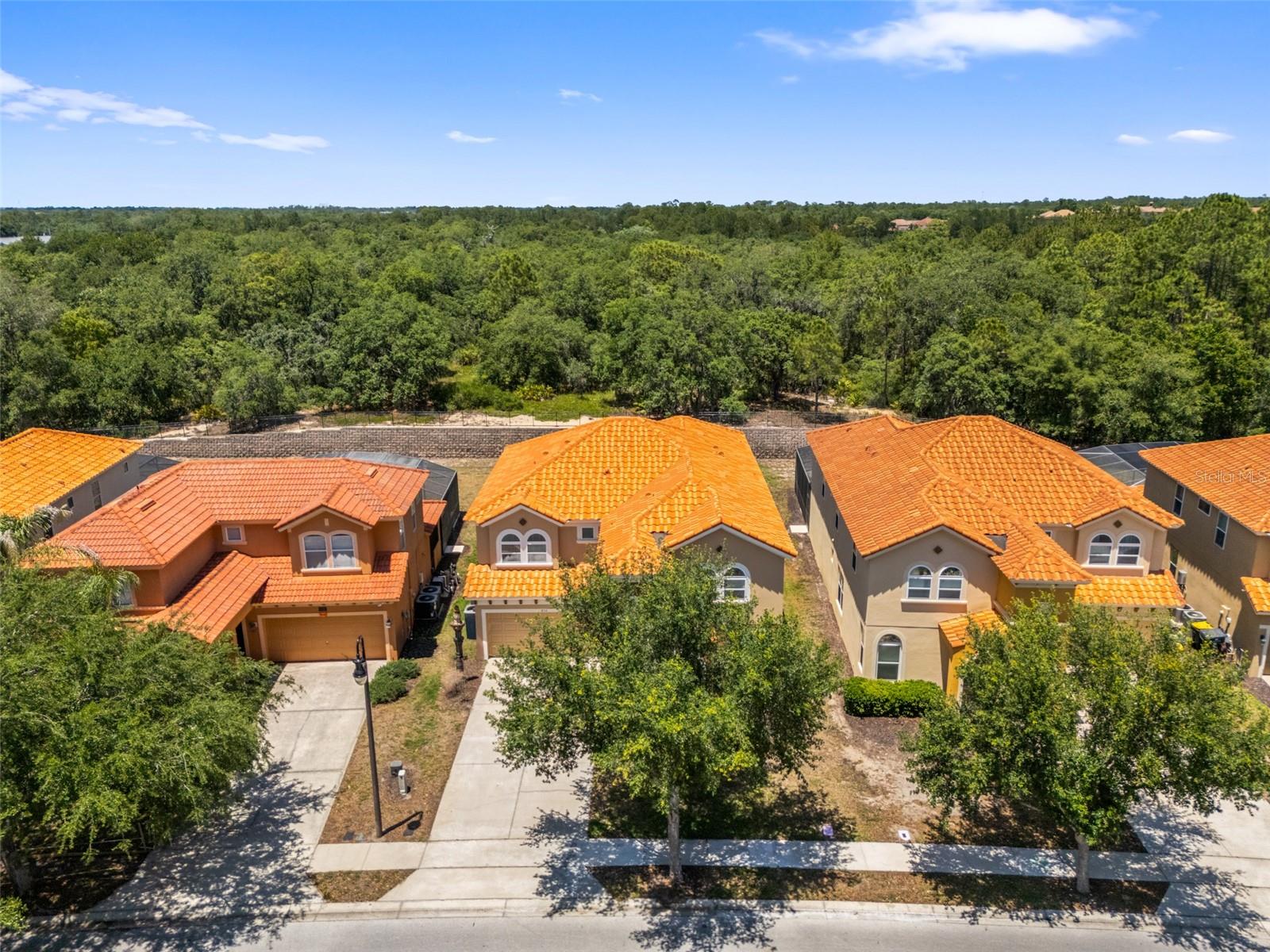 436 ORANGE COSMOS BLVD, DAVENPORT, FL, 33837