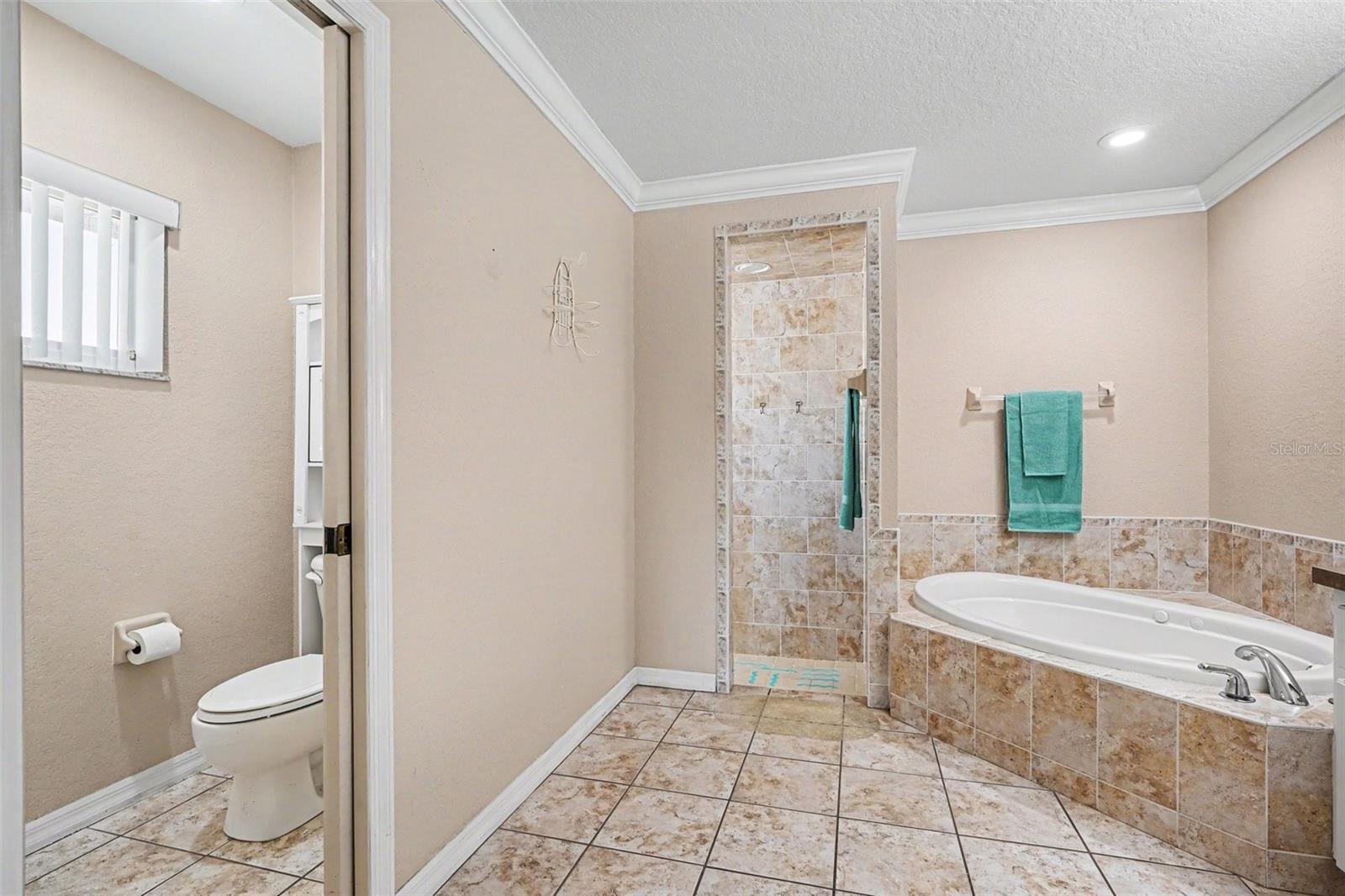 113 SHADDOCK DR, AUBURNDALE, FL, 33823