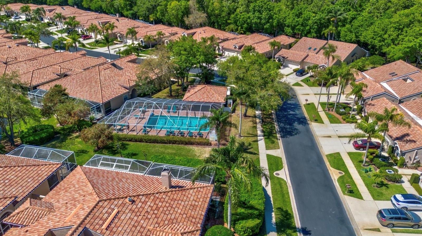 3867 DARSTON ST, PALM HARBOR, FL, 34685