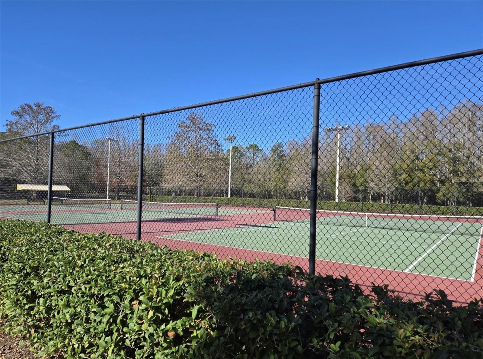 3867 DARSTON ST, PALM HARBOR, FL, 34685