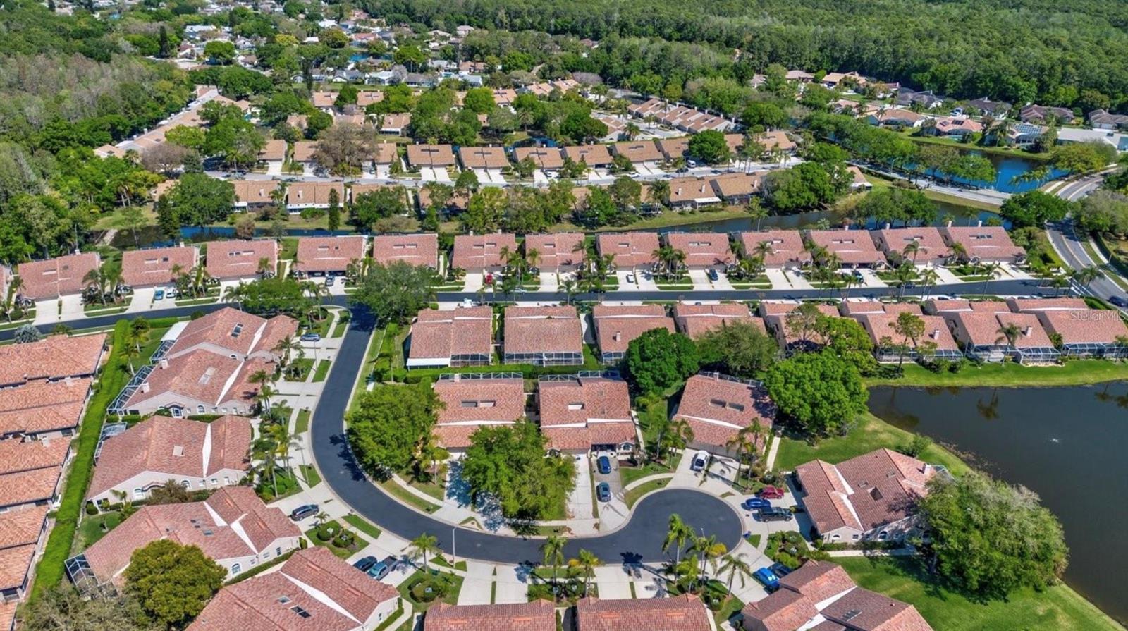 3867 DARSTON ST, PALM HARBOR, FL, 34685