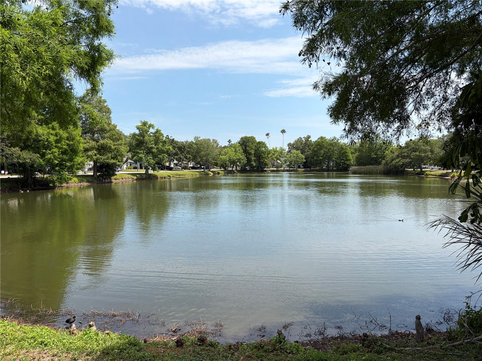 453 SAN SALVADOR DR, DUNEDIN, FL, 34698