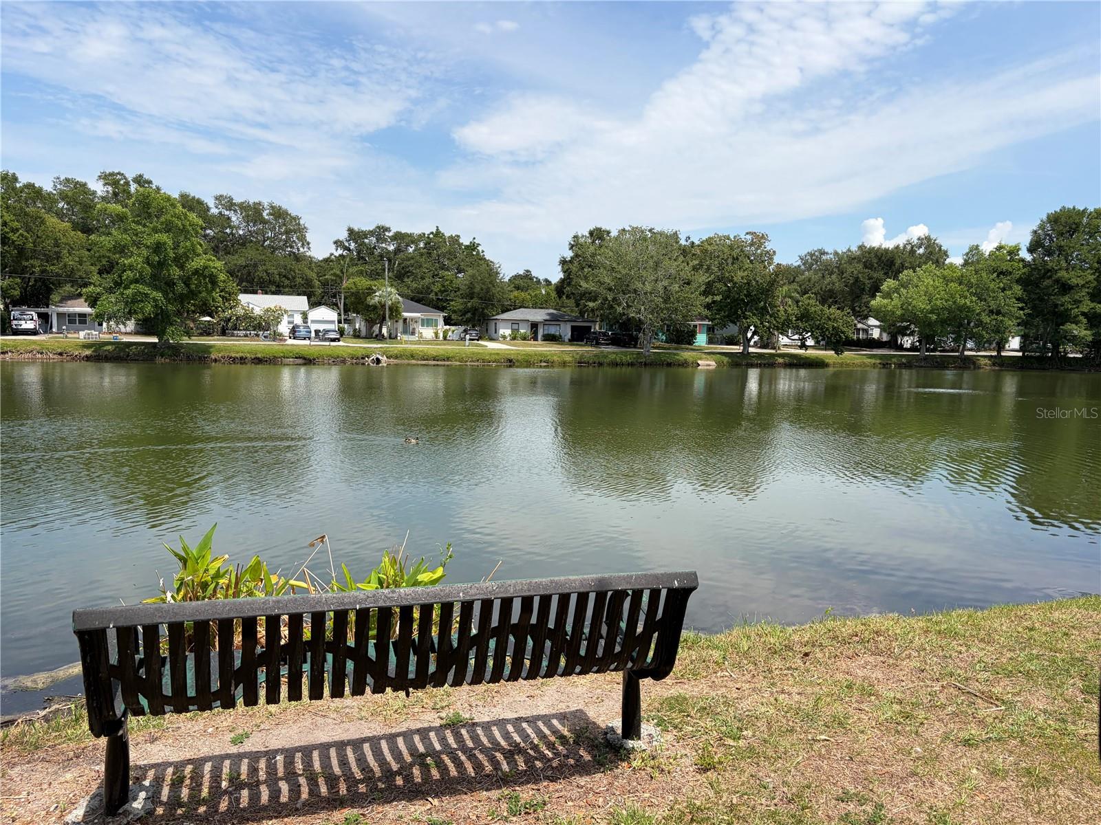 453 SAN SALVADOR DR, DUNEDIN, FL, 34698