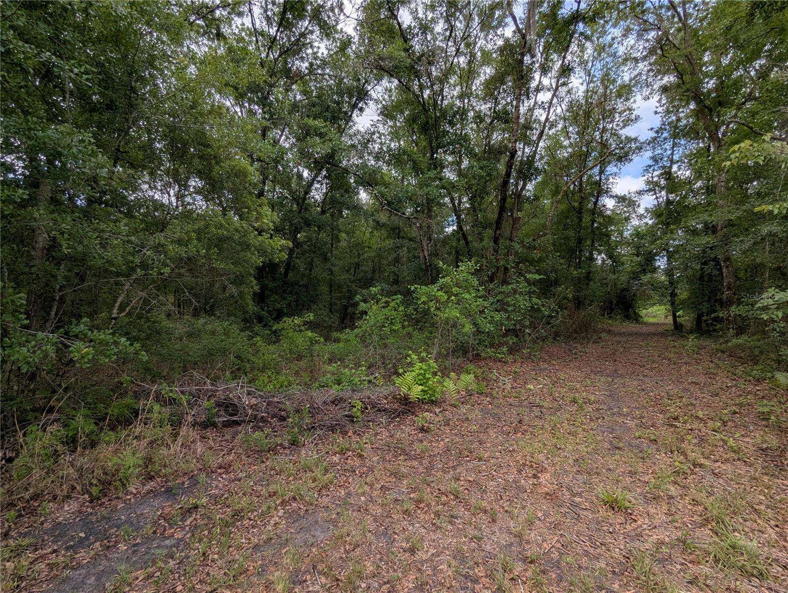 91ST ST, ALACHUA, FL, 32615