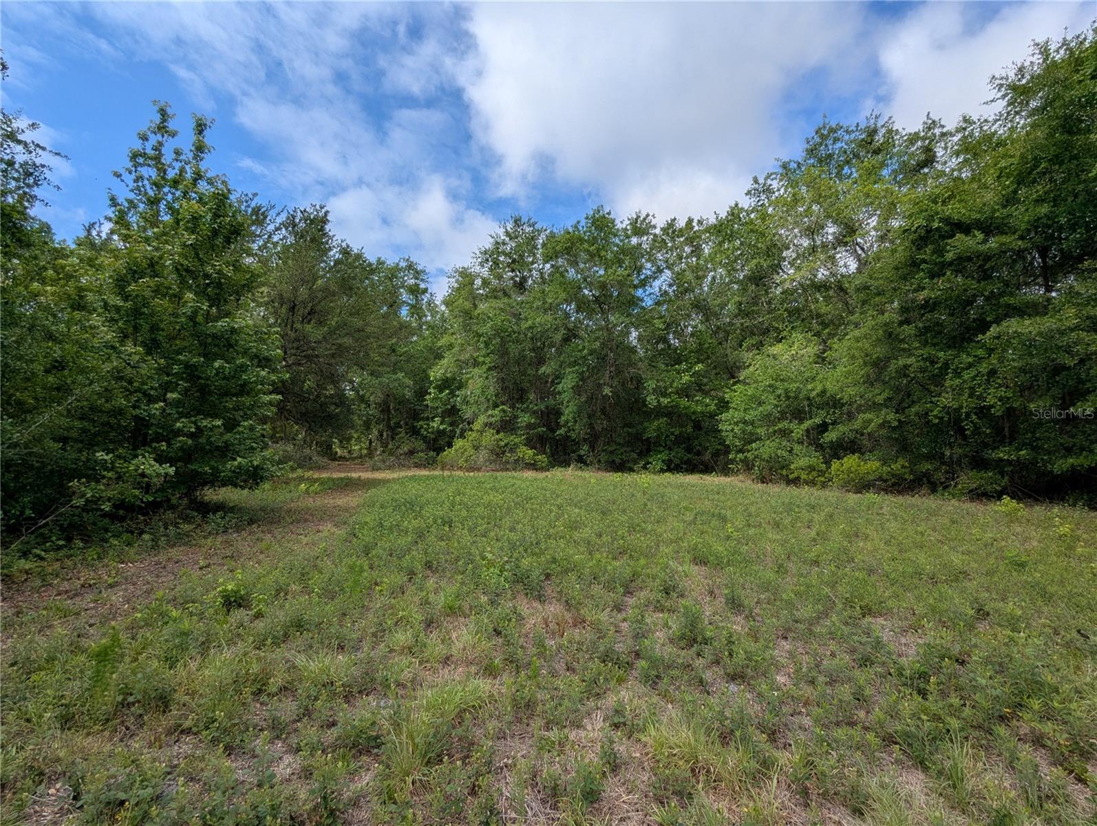 91ST ST, ALACHUA, FL, 32615