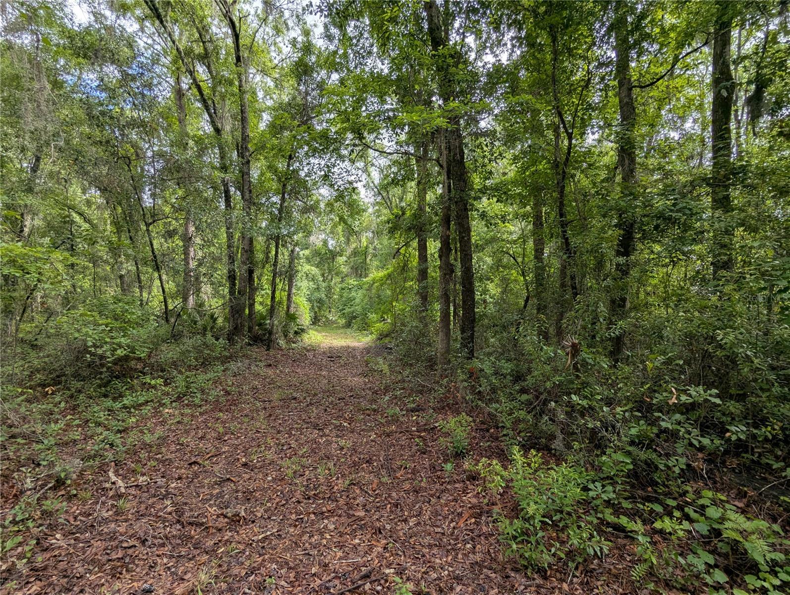 91ST ST, ALACHUA, FL, 32615