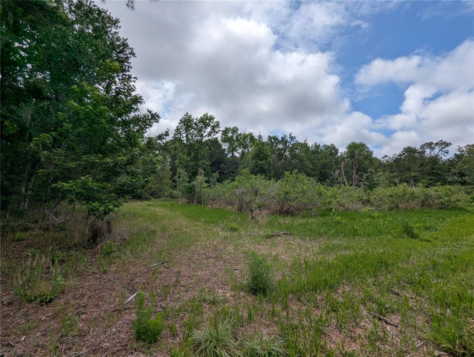 91ST ST, ALACHUA, FL, 32615