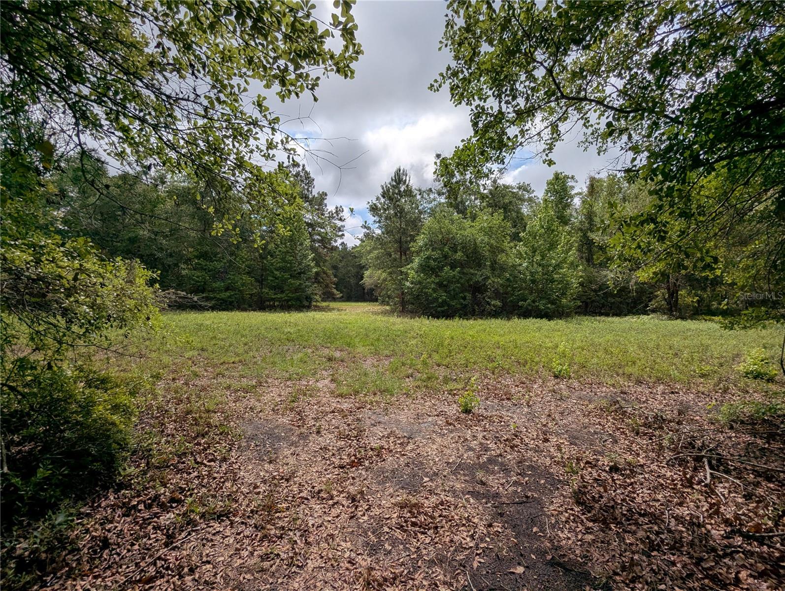 91ST ST, ALACHUA, FL, 32615