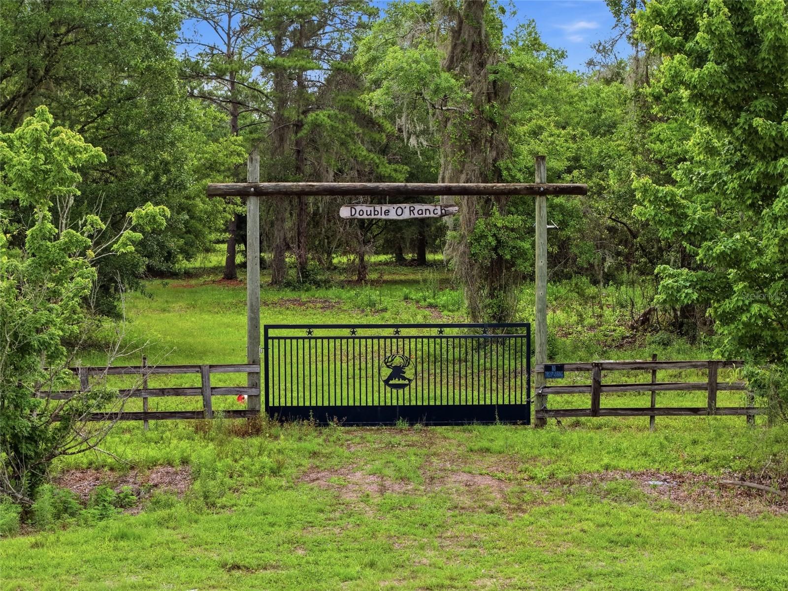 91ST ST, ALACHUA, FL, 32615