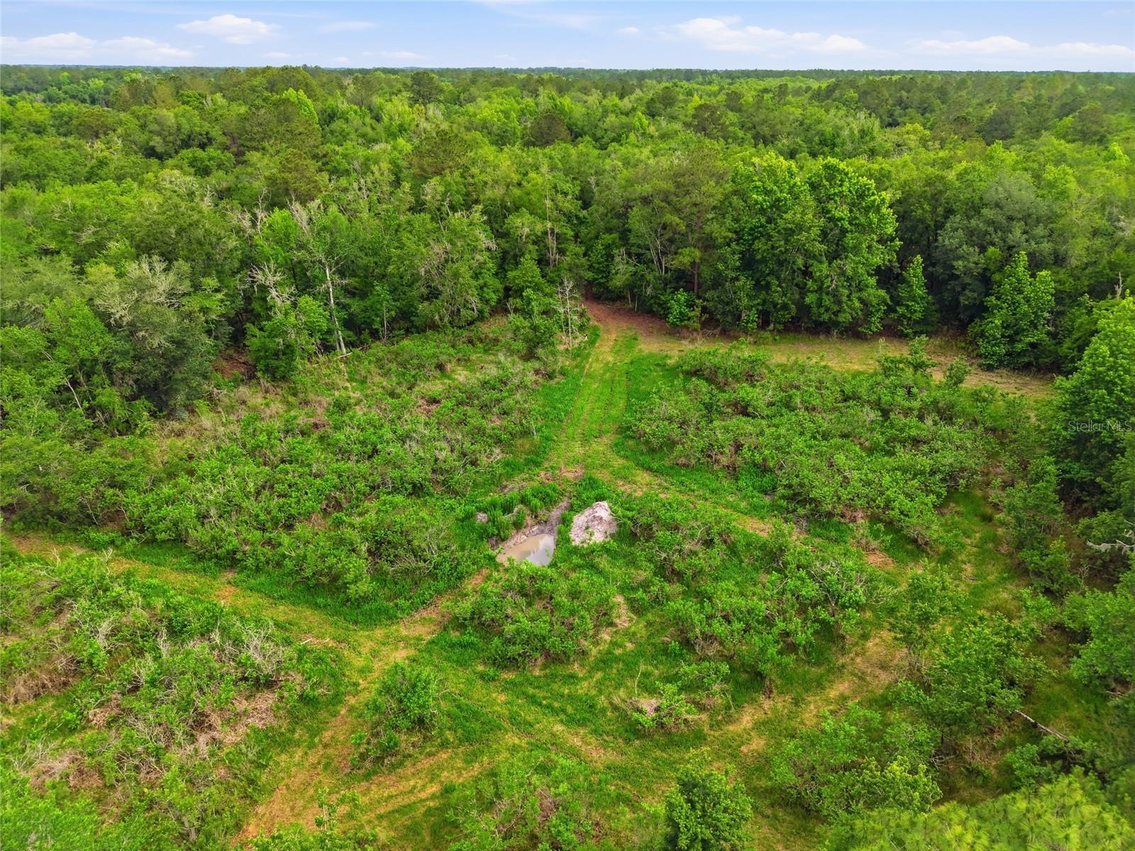 91ST ST, ALACHUA, FL, 32615