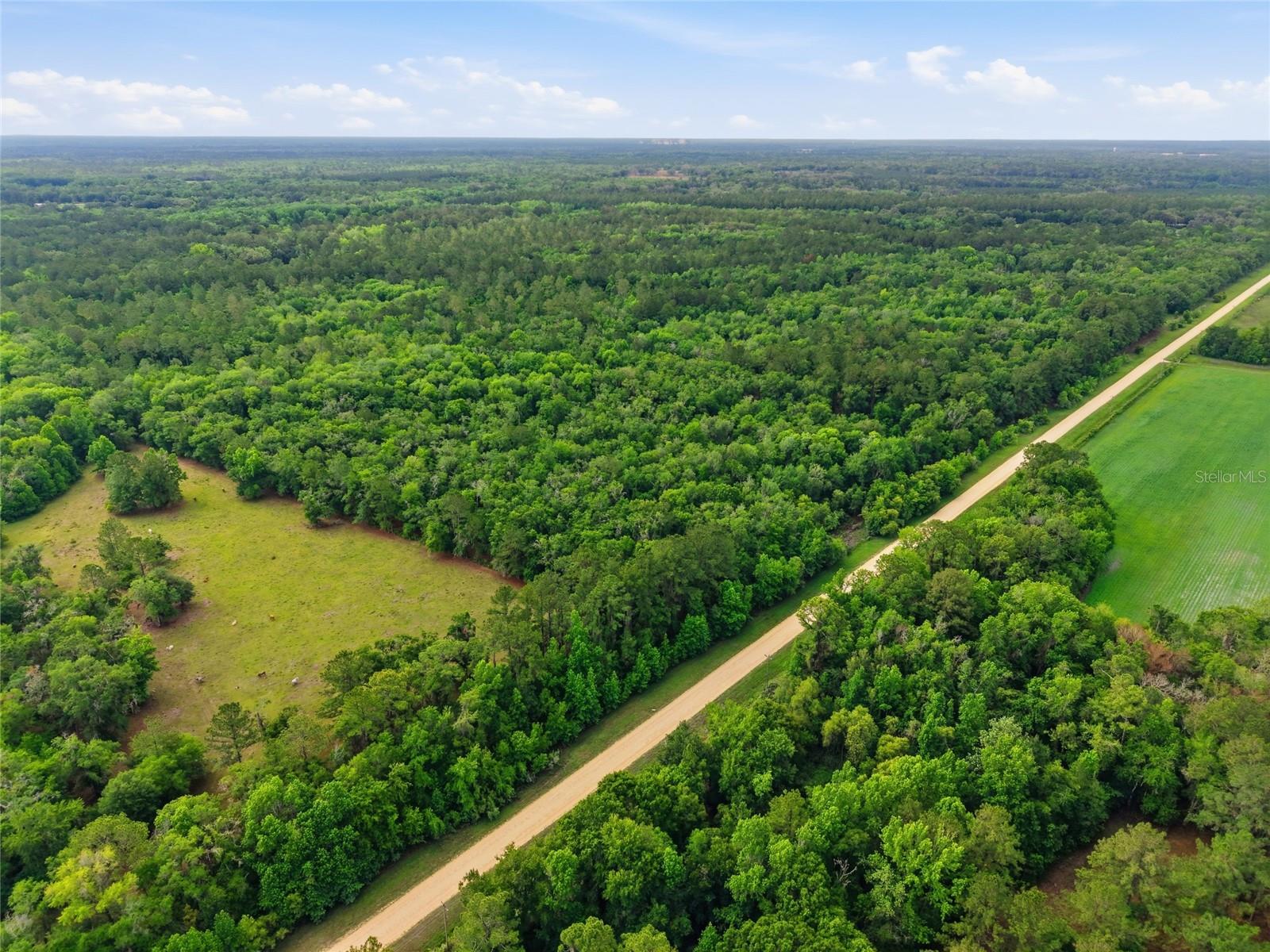 91ST ST, ALACHUA, FL, 32615