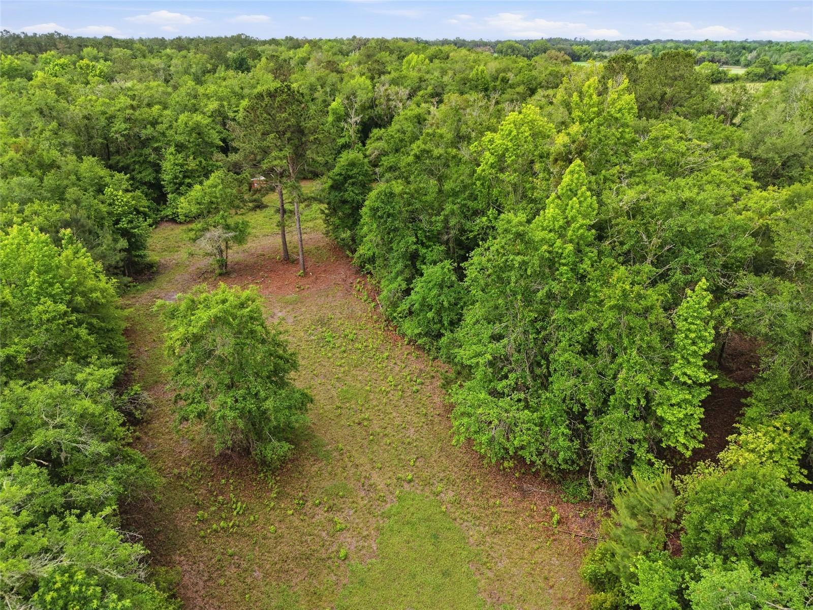 91ST ST, ALACHUA, FL, 32615