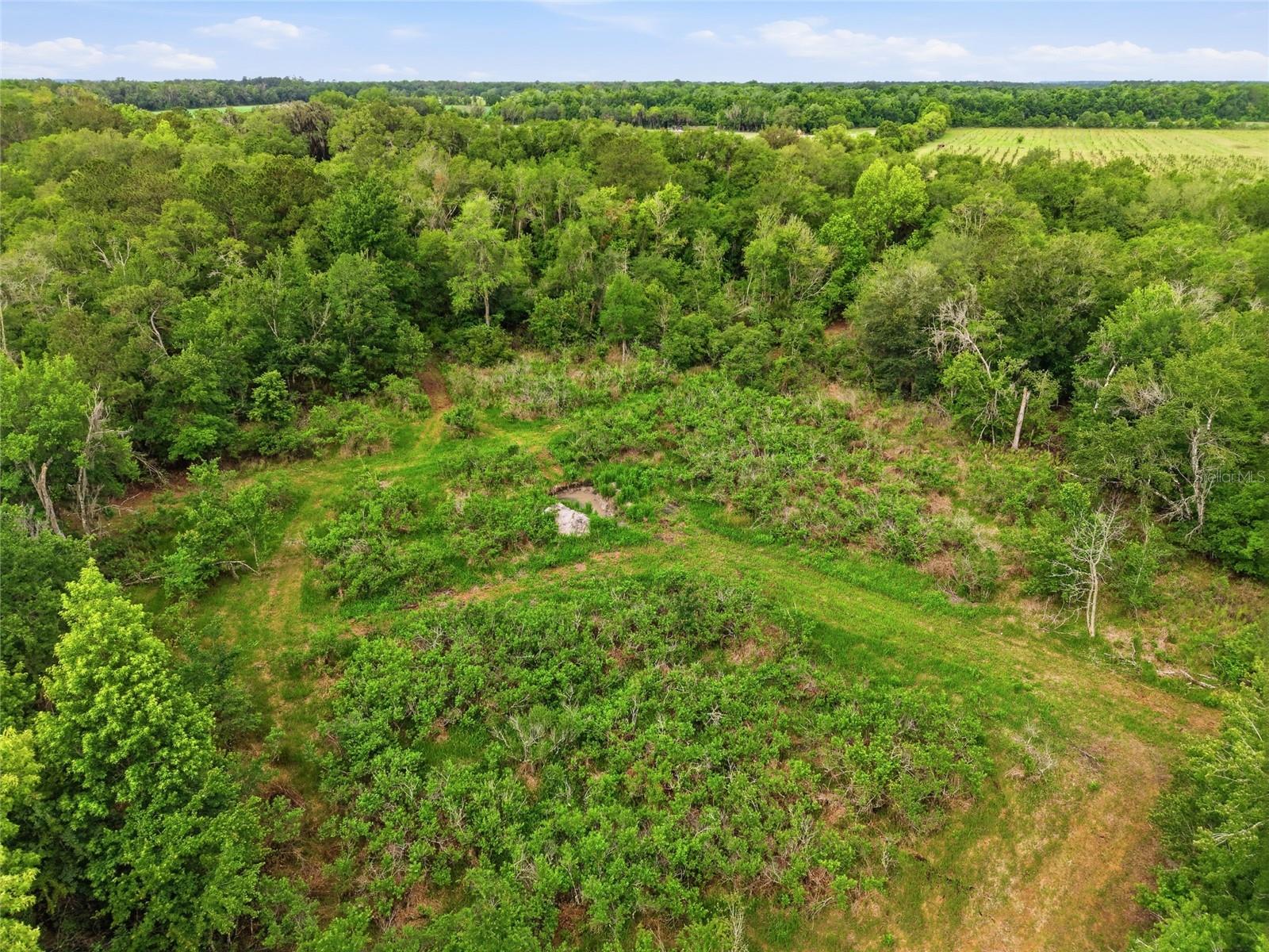 91ST ST, ALACHUA, FL, 32615