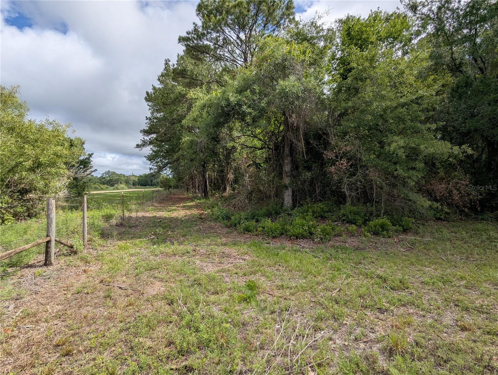 91ST ST, ALACHUA, FL, 32615