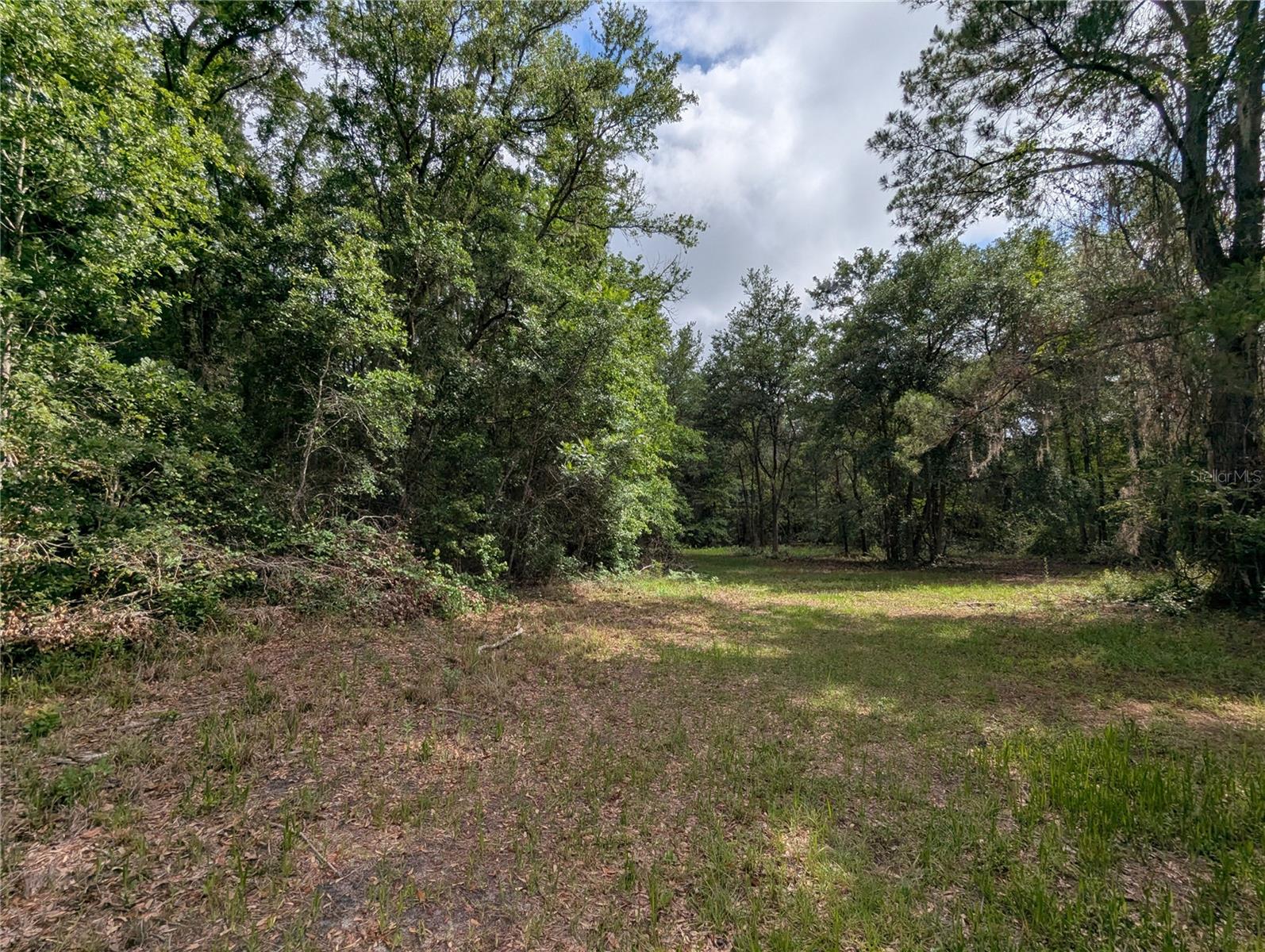 91ST ST, ALACHUA, FL, 32615