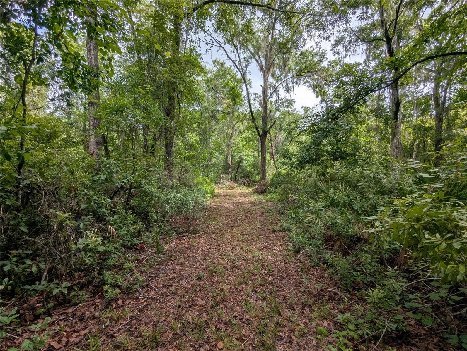 91ST ST, ALACHUA, FL, 32615