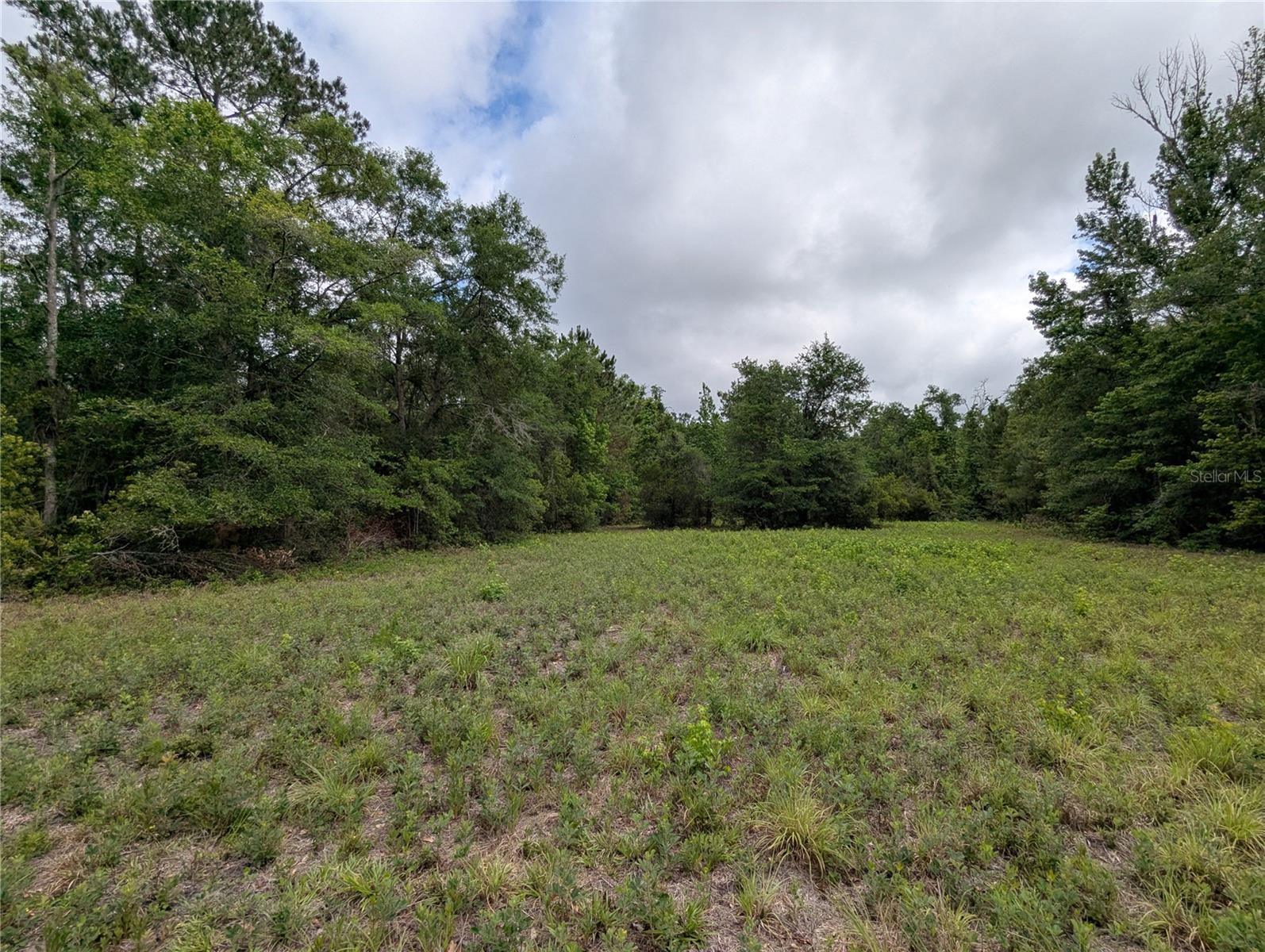 91ST ST, ALACHUA, FL, 32615