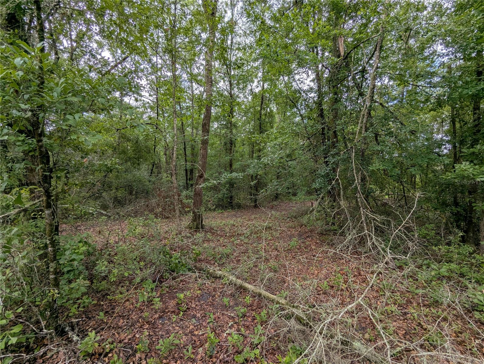 91ST ST, ALACHUA, FL, 32615