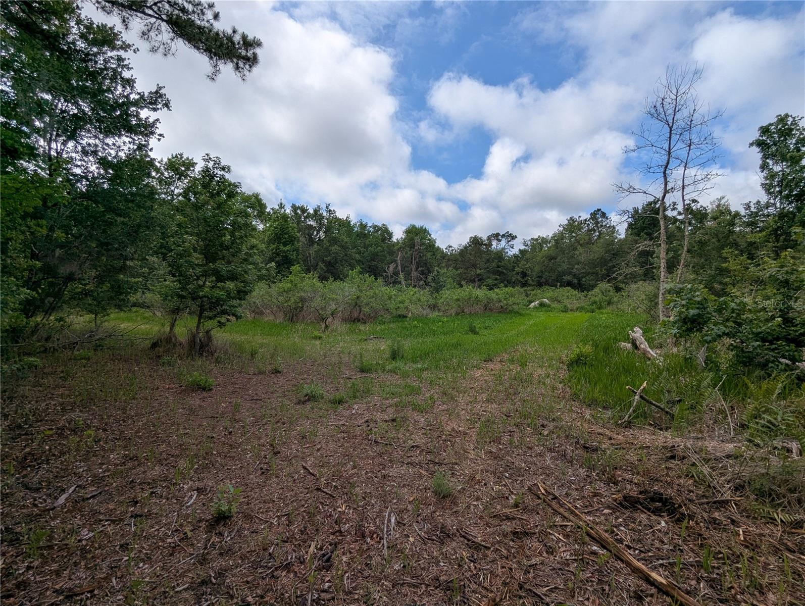 91ST ST, ALACHUA, FL, 32615