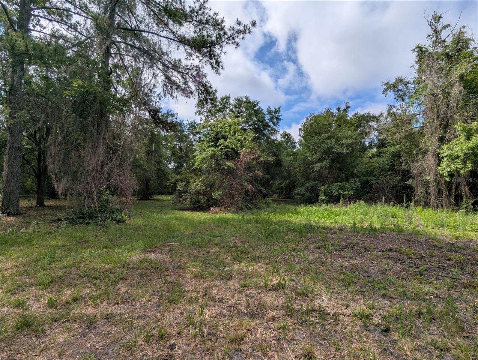 91ST ST, ALACHUA, FL, 32615