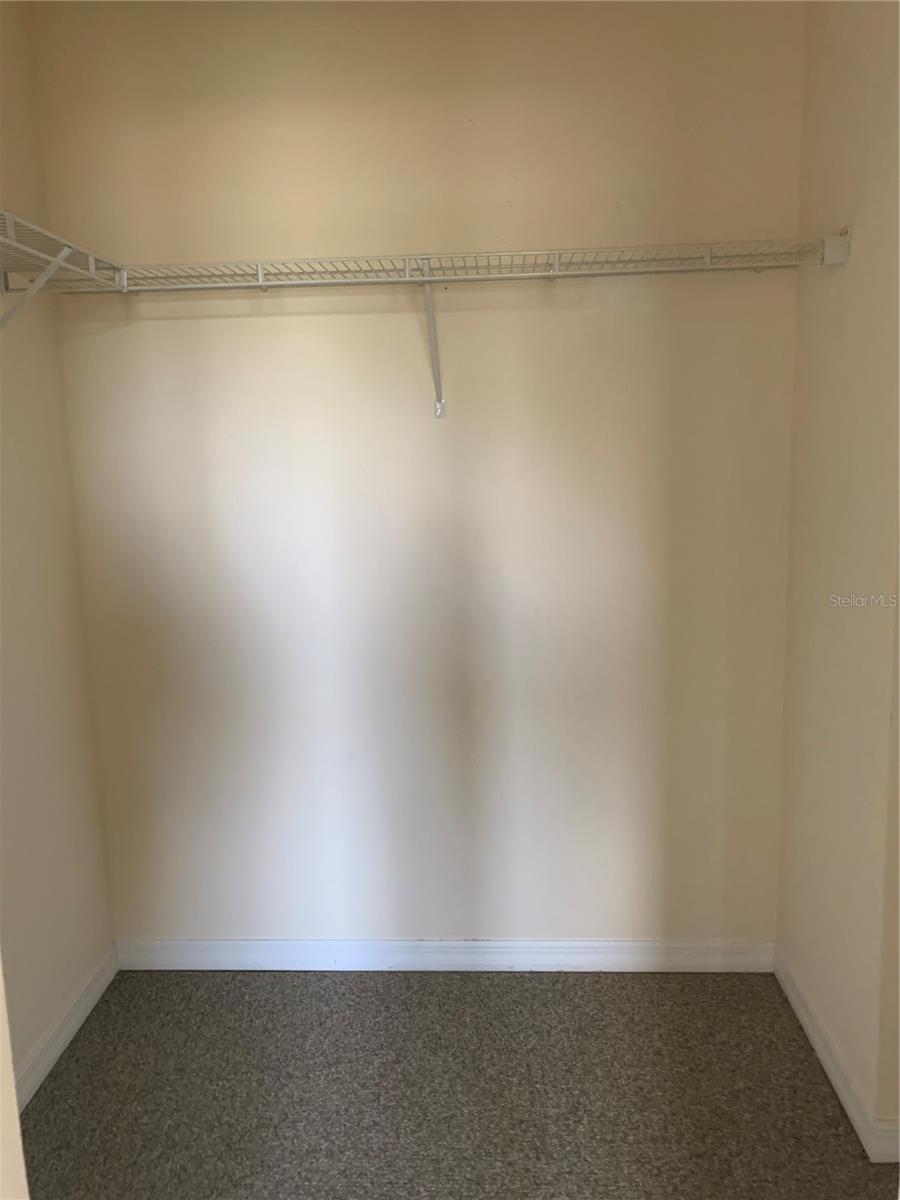 8140 SERENITY SPRINGS DR, WINDERMERE, FL, 34786