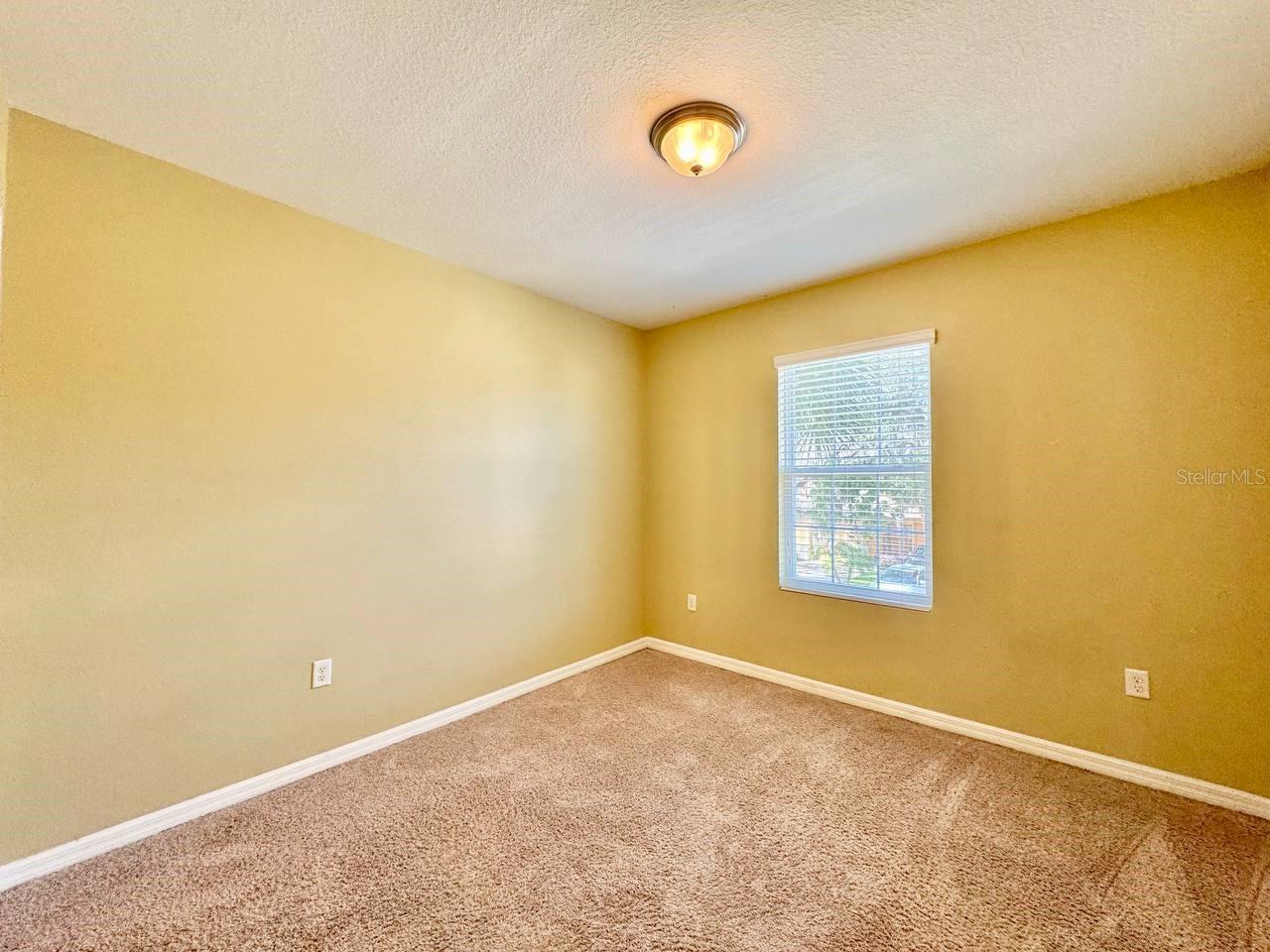 13955 SNAPPER FIN LN, TAMPA, FL, 33637