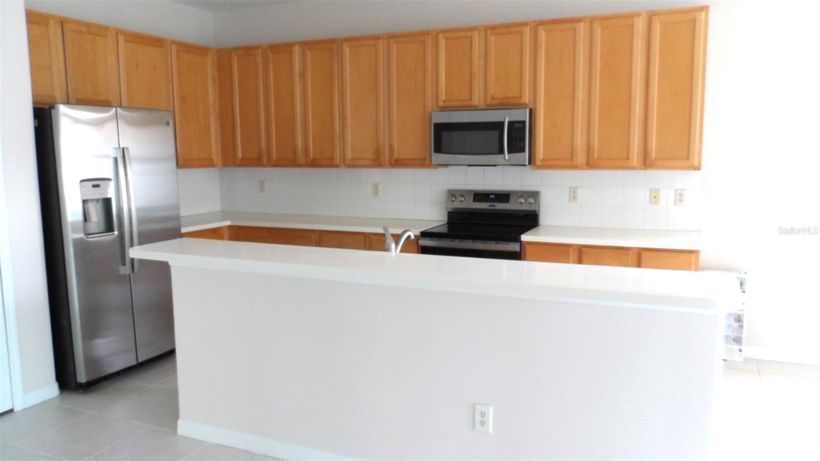 1029 MILLEBOURNE WAY, WESLEY CHAPEL, FL, 33543