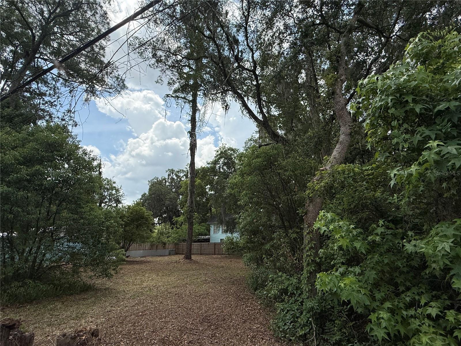 NE 8TH AVE, GAINESVILLE, FL, 32601