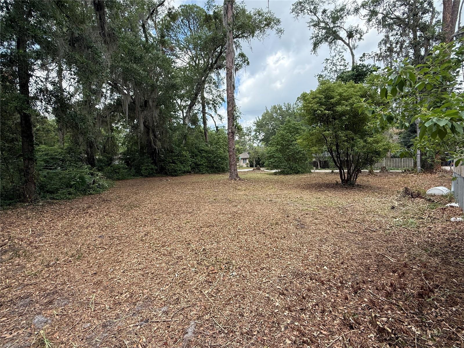 NE 8TH AVE, GAINESVILLE, FL, 32601