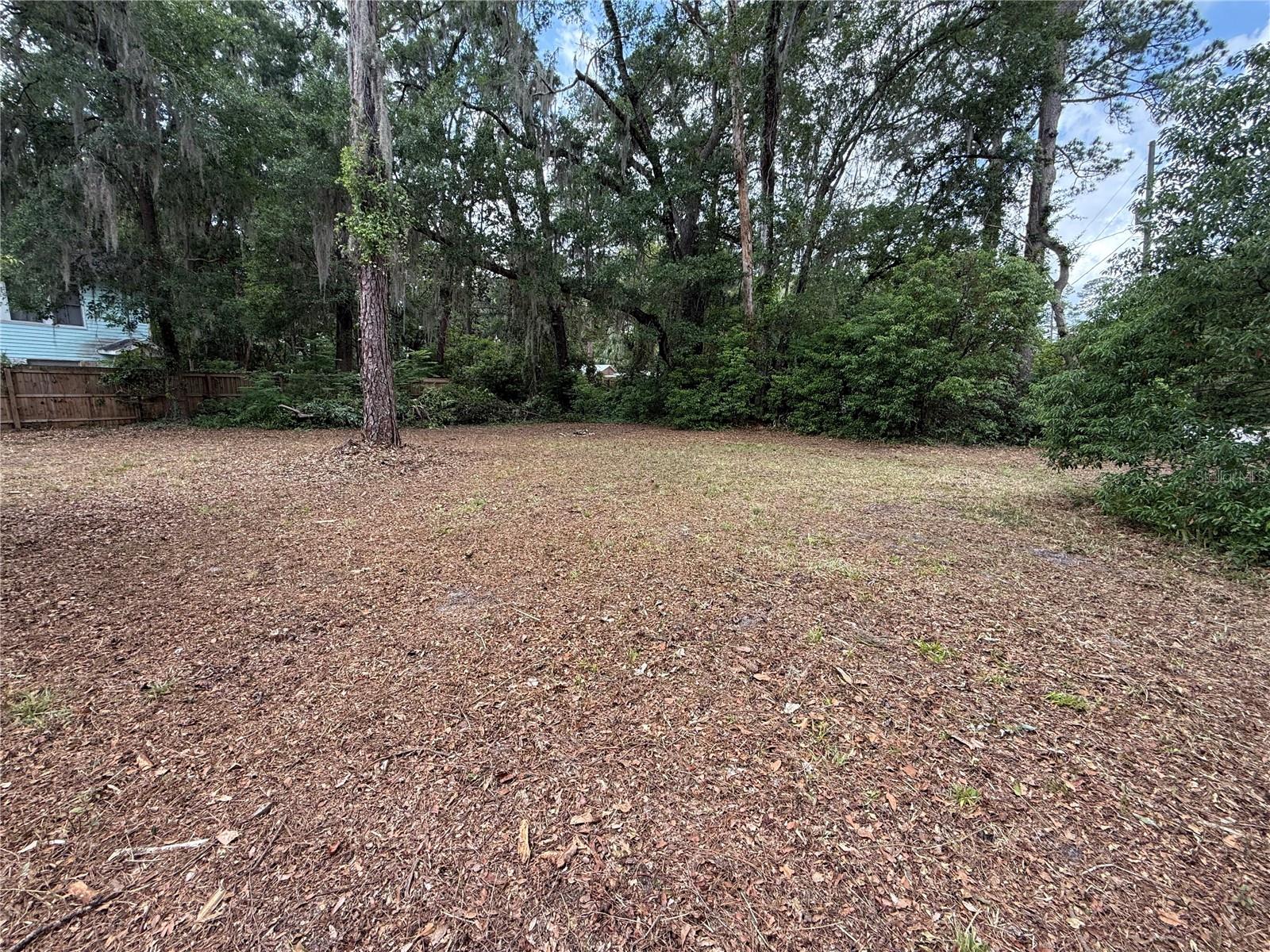 NE 8TH AVE, GAINESVILLE, FL, 32601