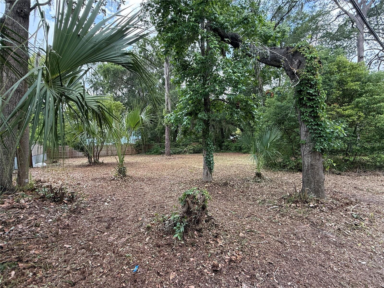 NE 8TH AVE, GAINESVILLE, FL, 32601