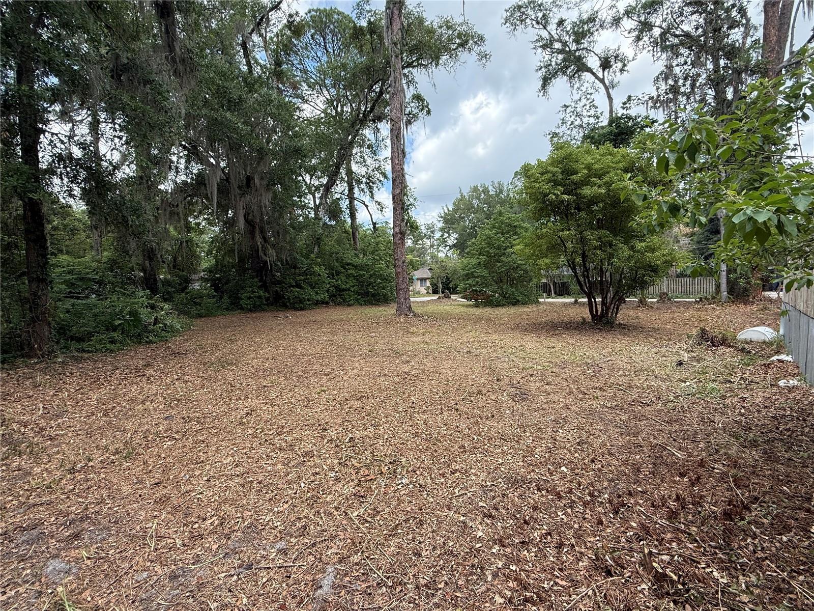 NE 8TH AVE, GAINESVILLE, FL, 32601