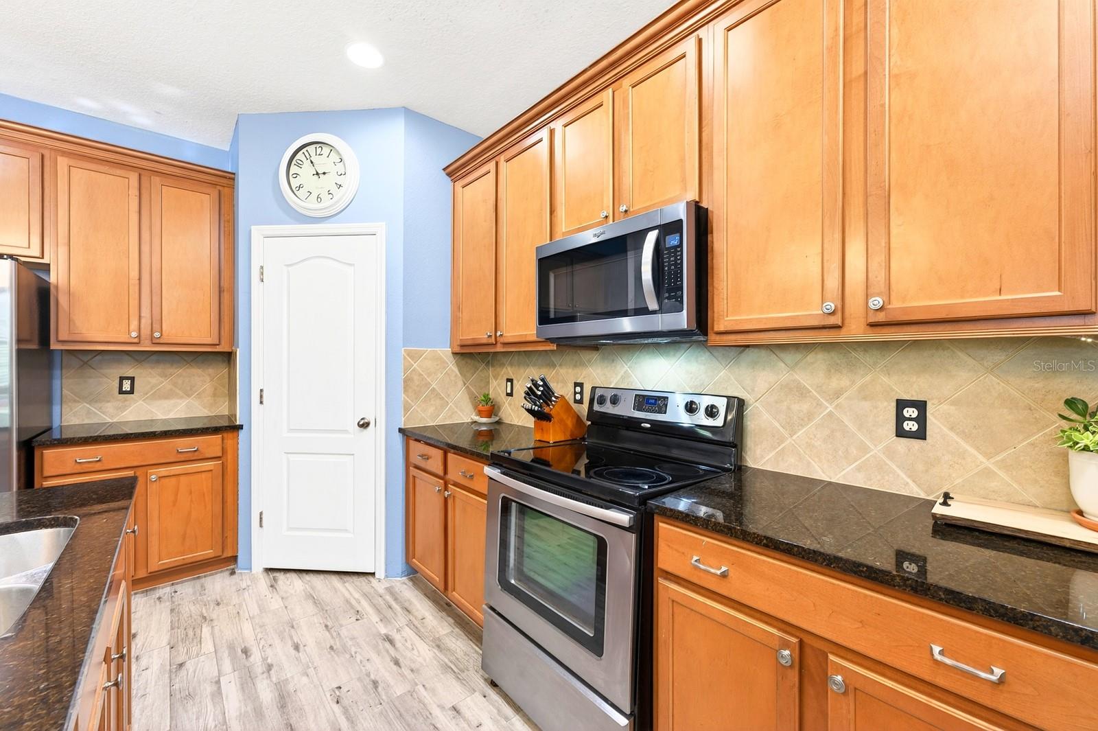 2407 PARKSIDE MEADOW DR, APOPKA, FL, 32712
