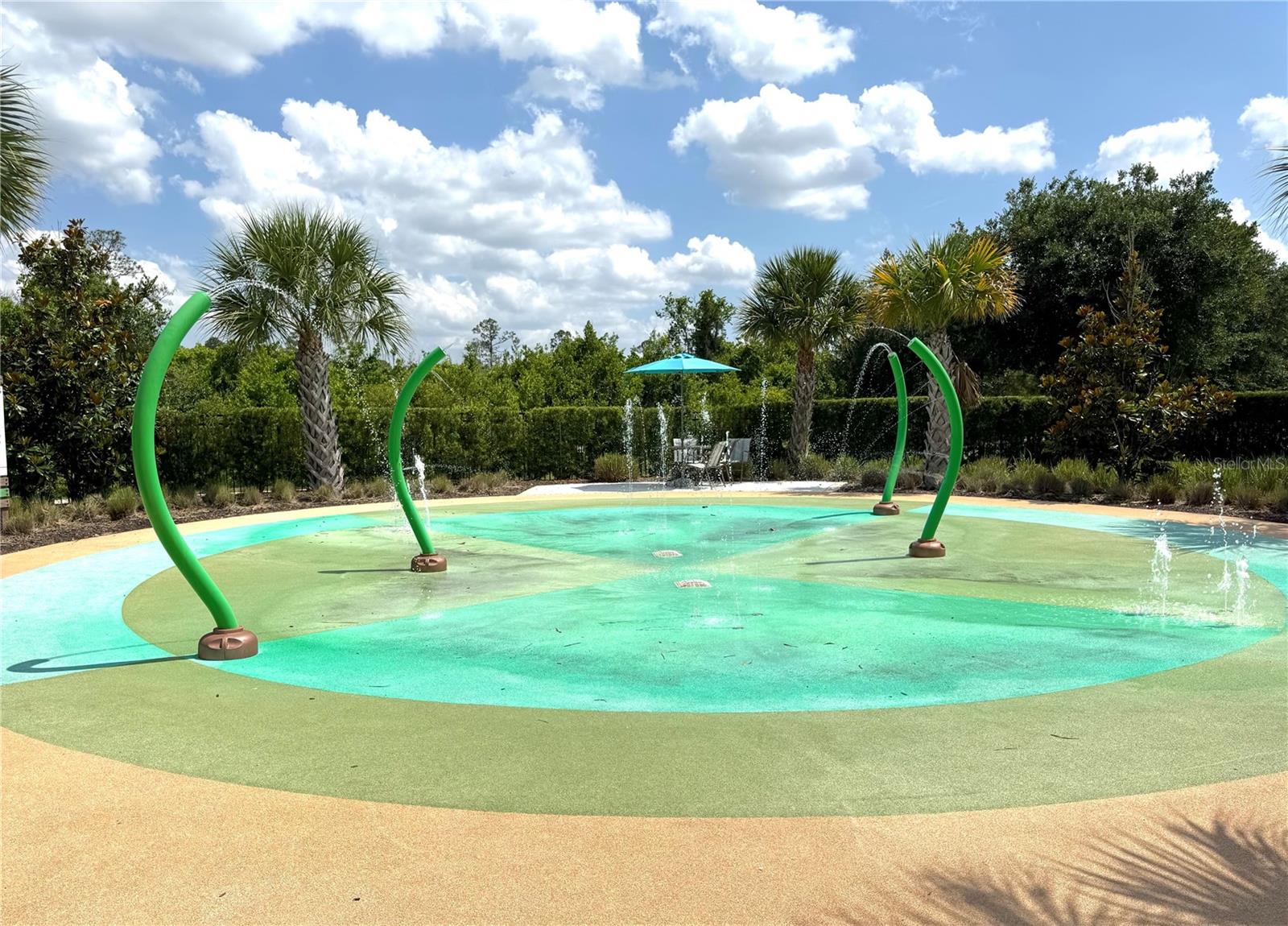 17386 SAW PALMETTO AVE, CLERMONT, FL, 34714