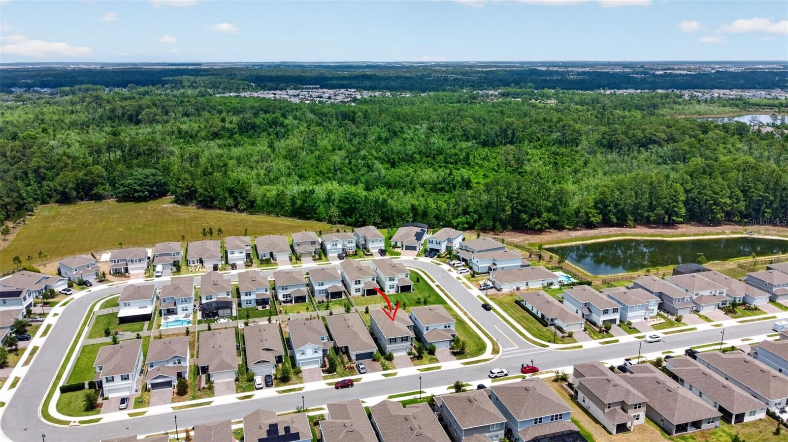 17386 SAW PALMETTO AVE, CLERMONT, FL, 34714