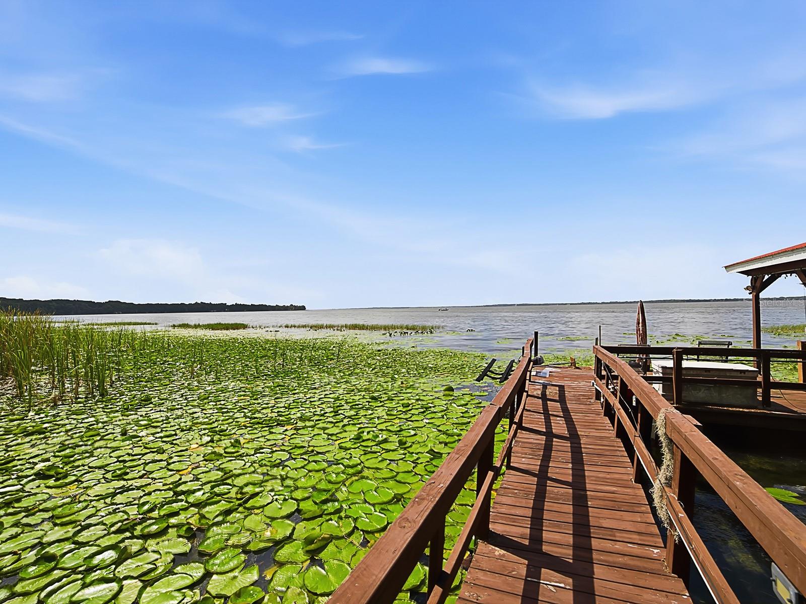 1031 MELLATHON CIR, LEESBURG, FL, 34748