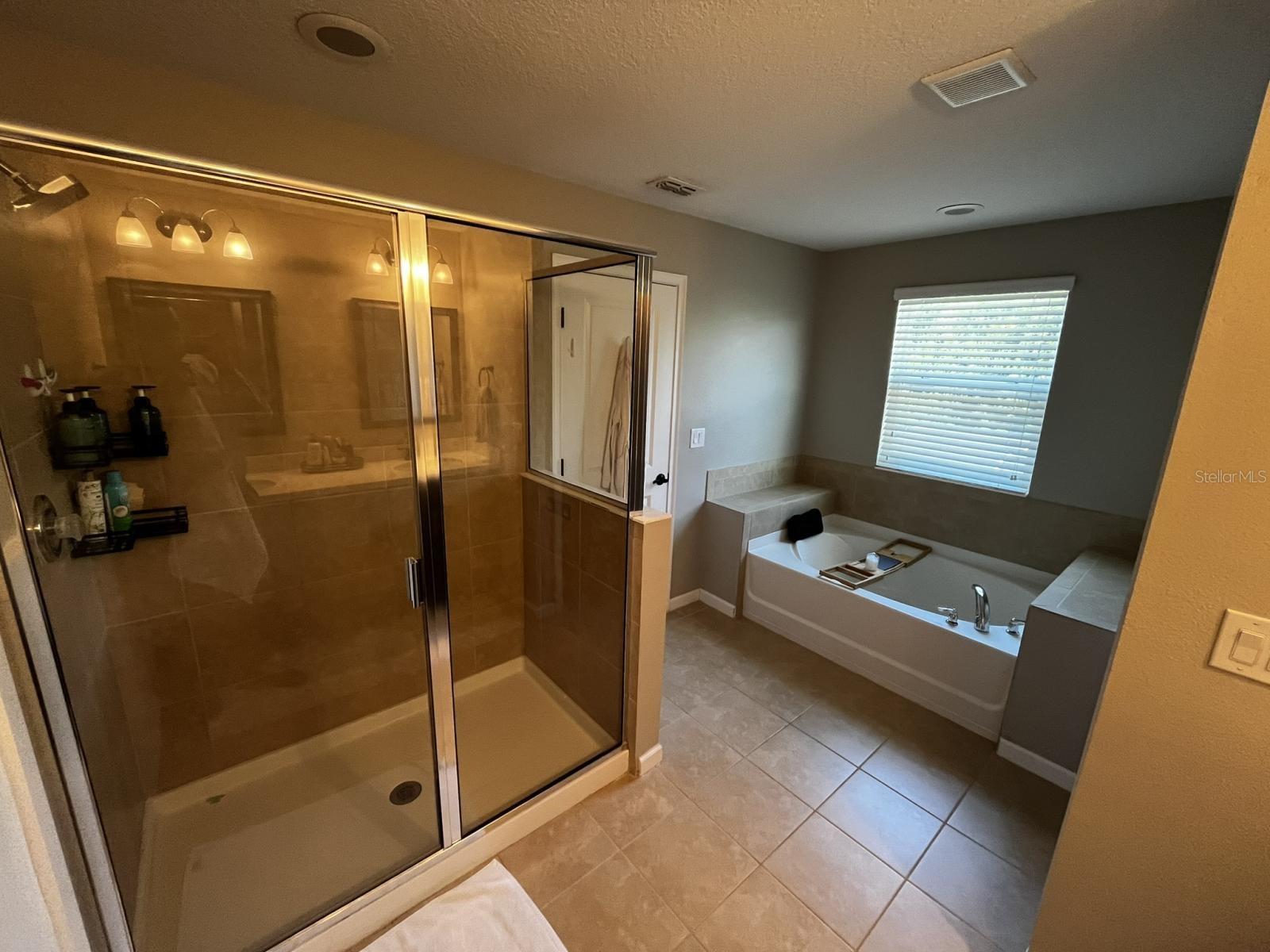 12330 STREAMBED DR, RIVERVIEW, FL, 33579