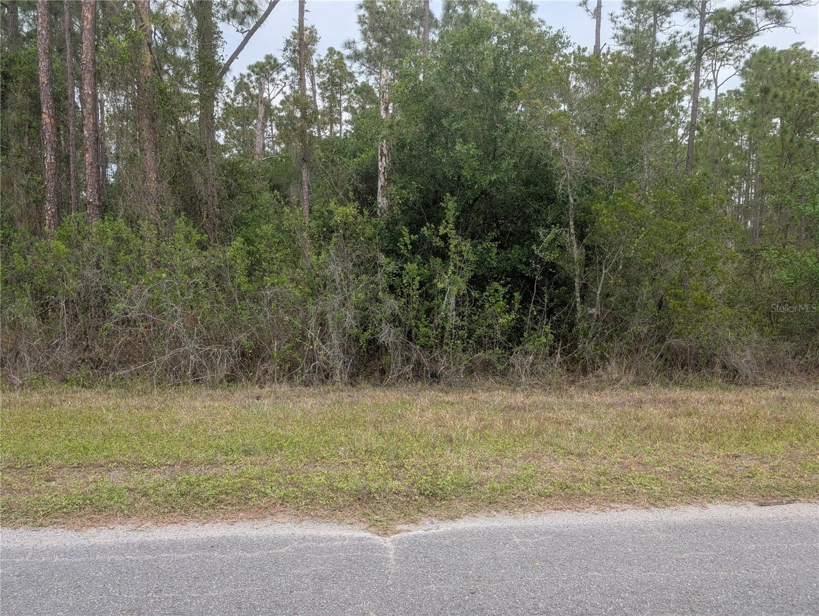 320 ALBA DR, INDIAN LAKE ESTATES, FL, 33855