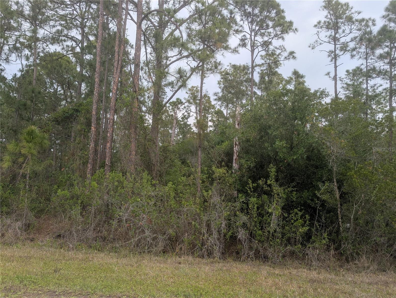 320 ALBA DR, INDIAN LAKE ESTATES, FL, 33855