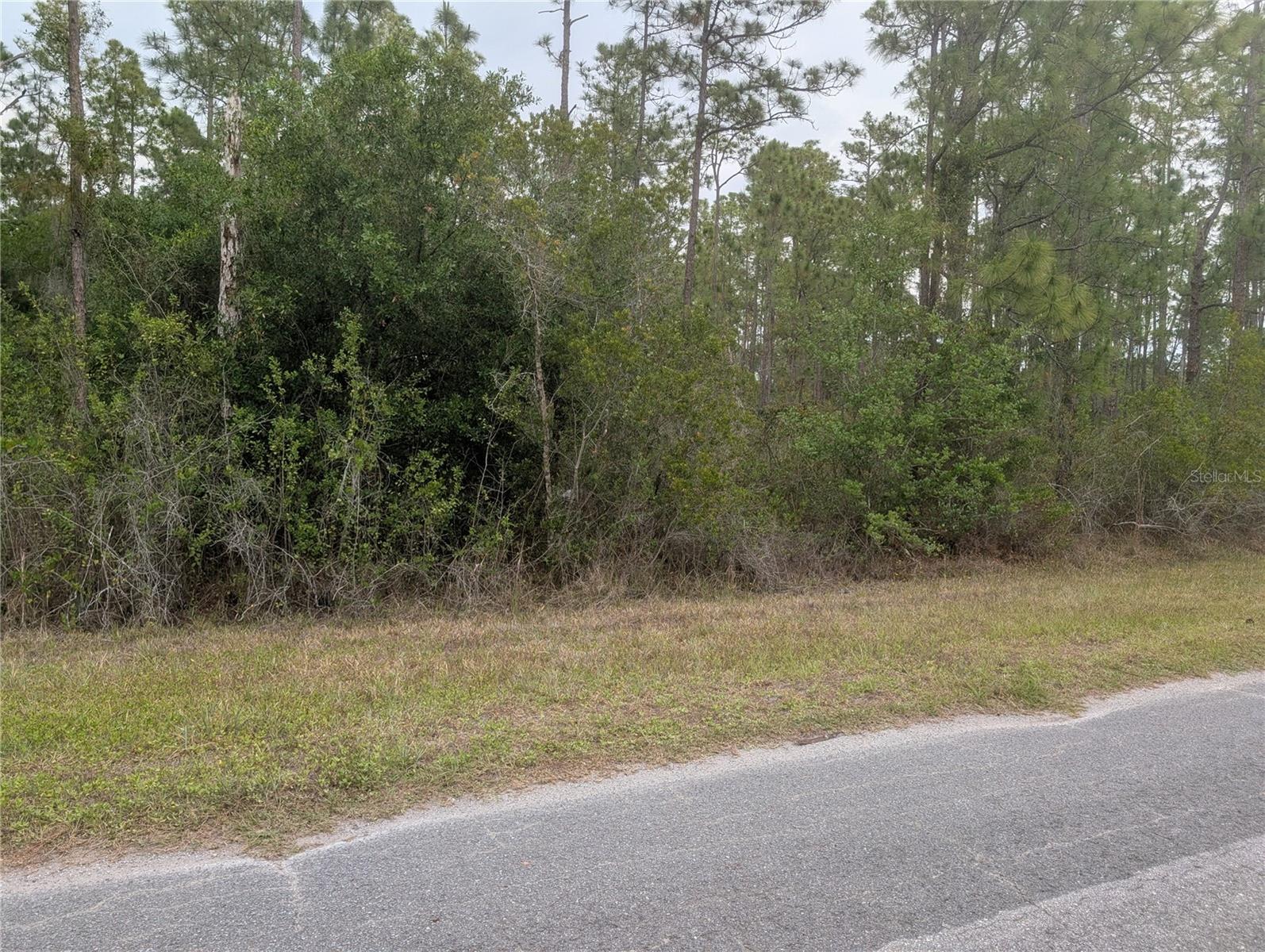 320 ALBA DR, INDIAN LAKE ESTATES, FL, 33855