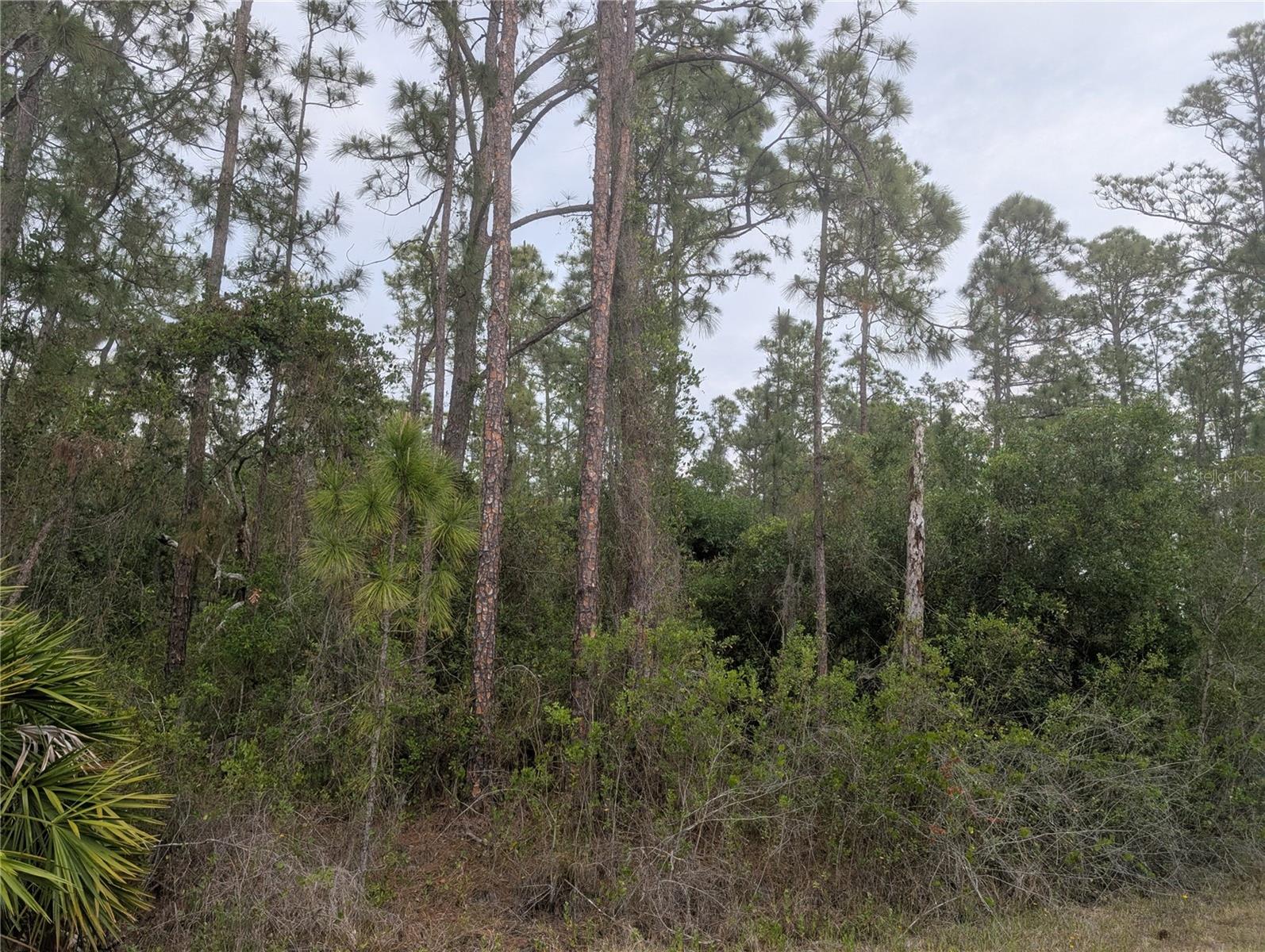 320 ALBA DR, INDIAN LAKE ESTATES, FL, 33855