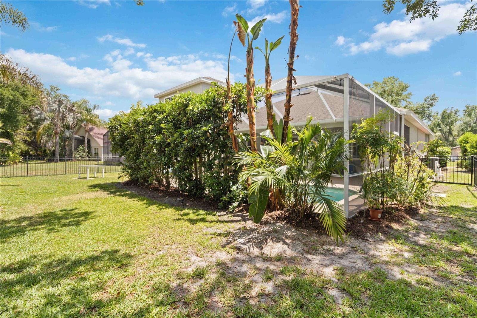 6110 WHIMBRELWOOD DR, LITHIA, FL, 33547
