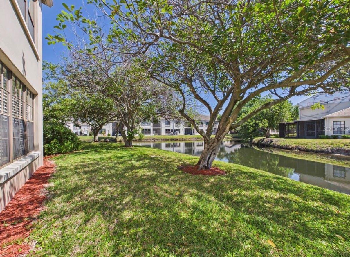 BORDEAUX VILLAGE, CLEARWATER, FL, 33762