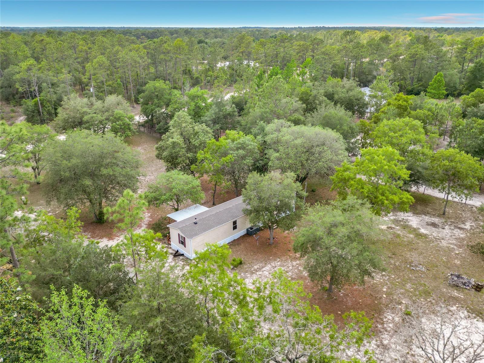 14671 SE 25TH ST, MORRISTON, FL, 32668