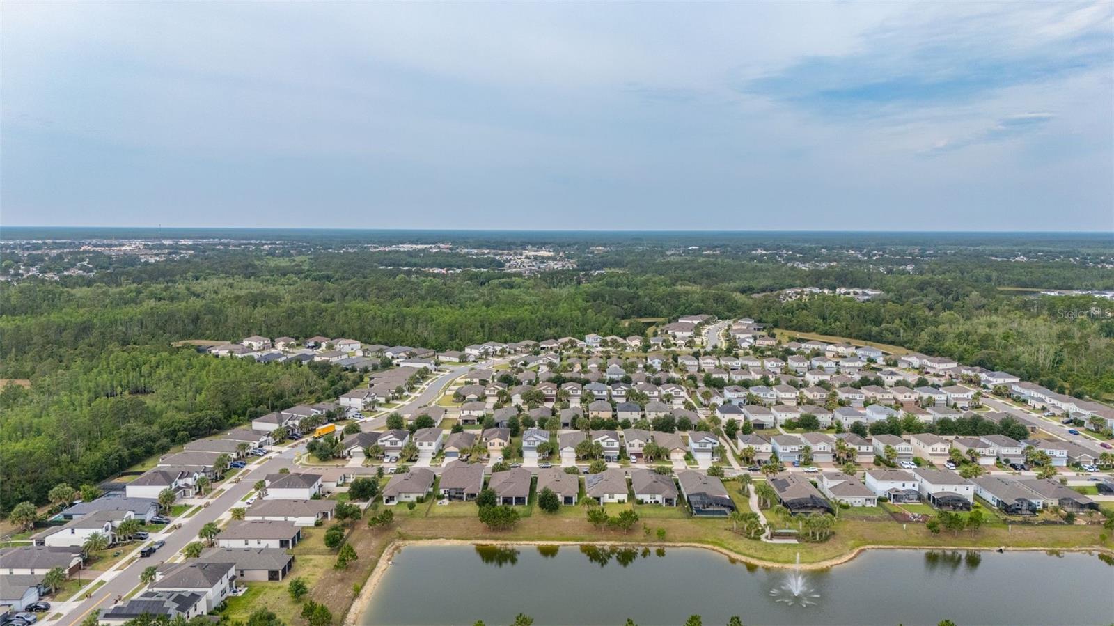 17325 BRACKEN FERN LN, CLERMONT, FL, 34714