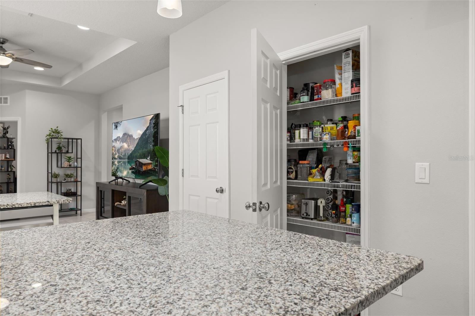 17325 BRACKEN FERN LN, CLERMONT, FL, 34714