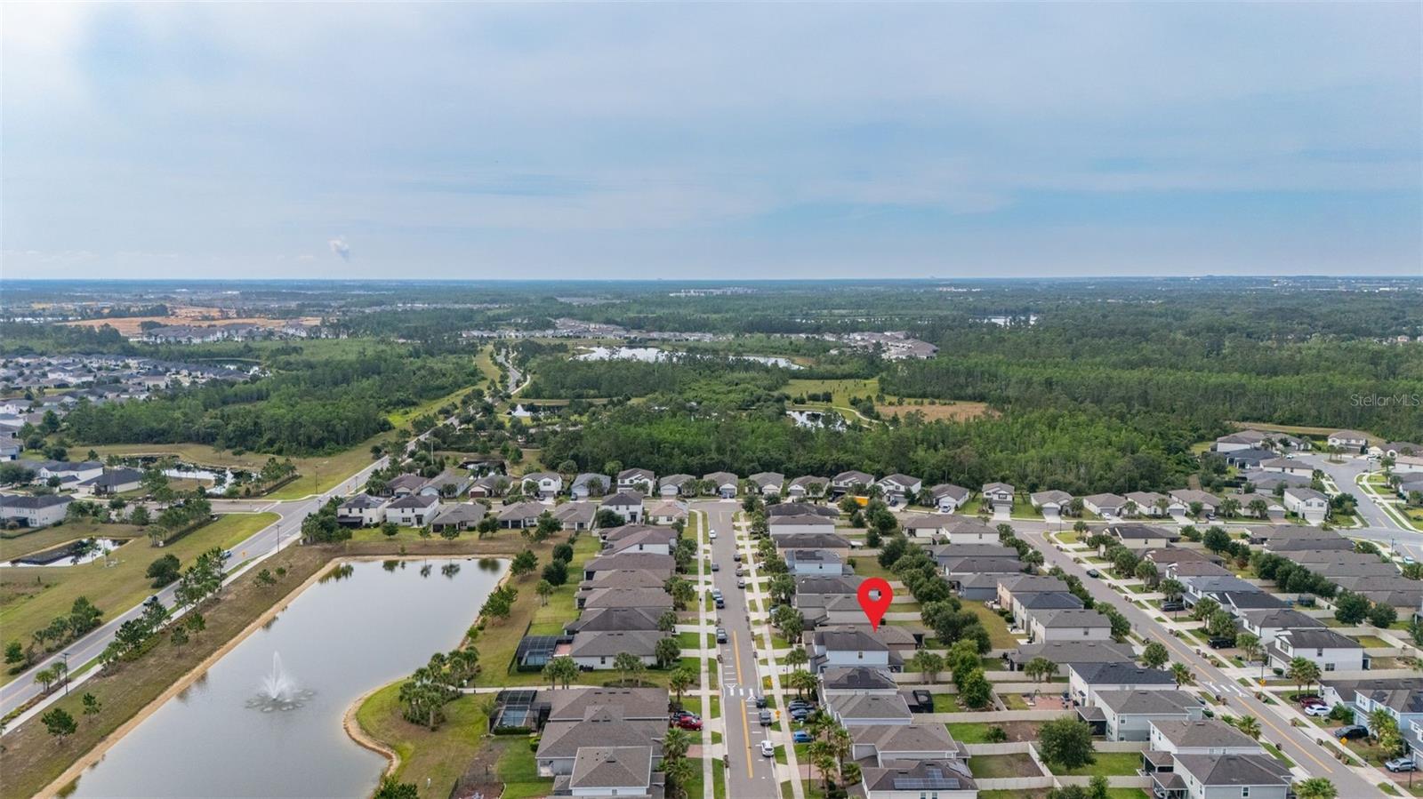 17325 BRACKEN FERN LN, CLERMONT, FL, 34714