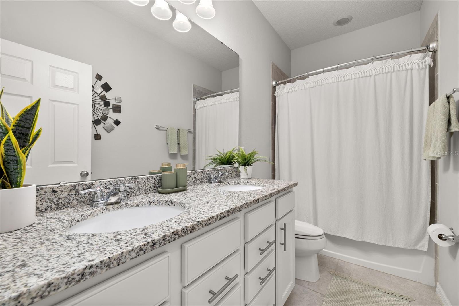 17325 BRACKEN FERN LN, CLERMONT, FL, 34714